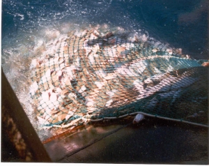 MV "Fury V" Good Haul